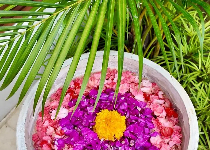United Colors Of Bali Nature Antasari