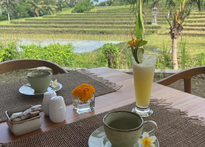 United Colors Of Bali Nature リゾート