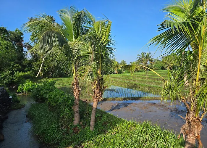 United Colors Of Bali Nature リゾート