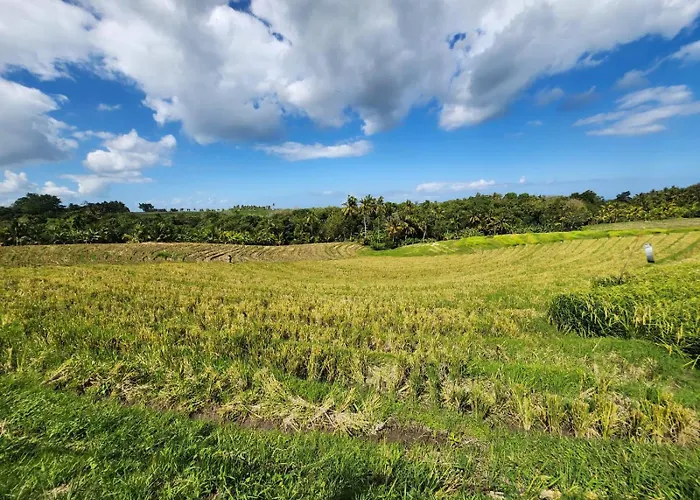 United Colors Of Bali Nature リゾート