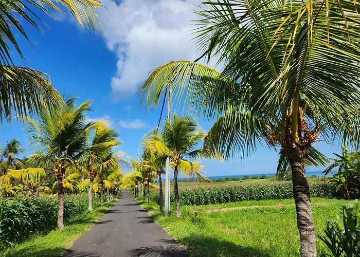 リゾート United Colors Of Bali Nature