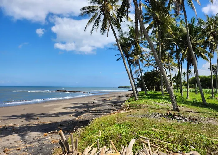 リゾート United Colors Of Bali Nature